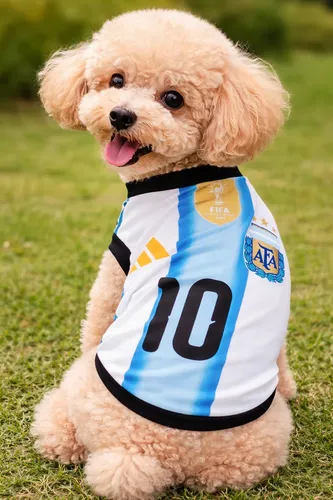 Camiseta Argentina S Viapet
