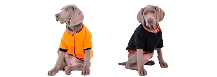 Campera Fluor Reversible T30