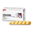 Cefalexina 500Mg Holliday X 10 Comprimidos Blister