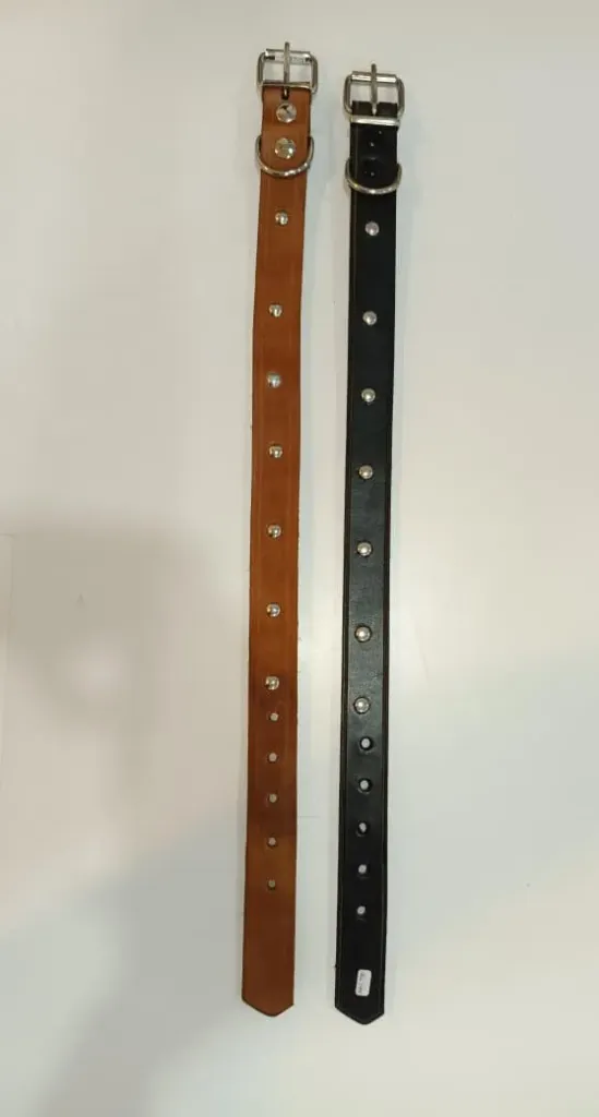 [ACC720] Collar Con Tachas (51 Cm)
