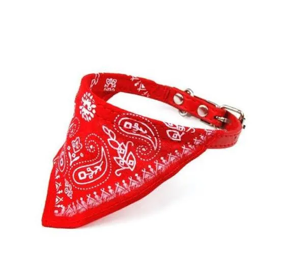 [ACC680] Collar Perro Pañuelo Mediano