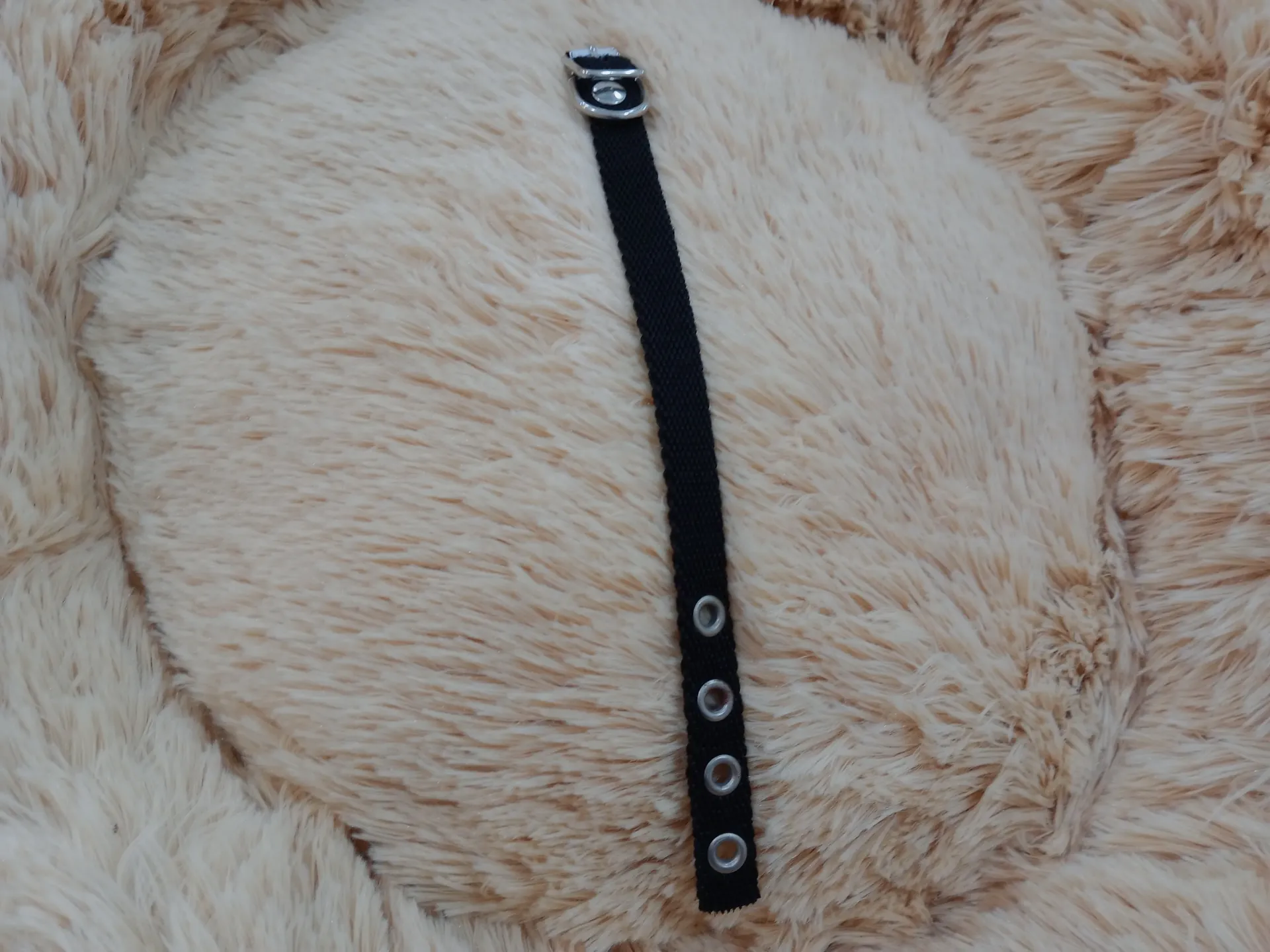 [ACC519] Collar Simple Gato 15Mm