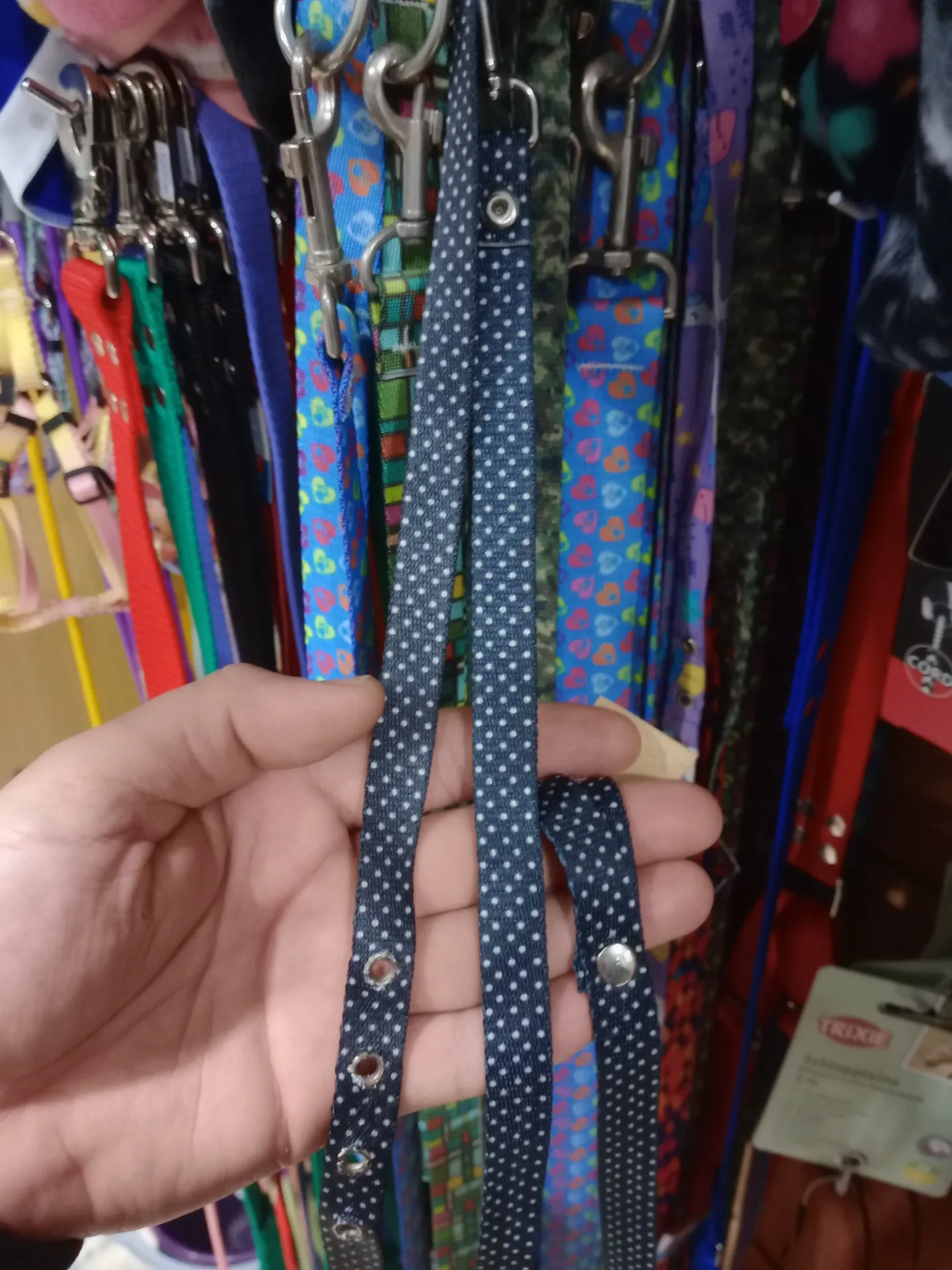 Conj Correa 1,5cm/ Collar 45Cm