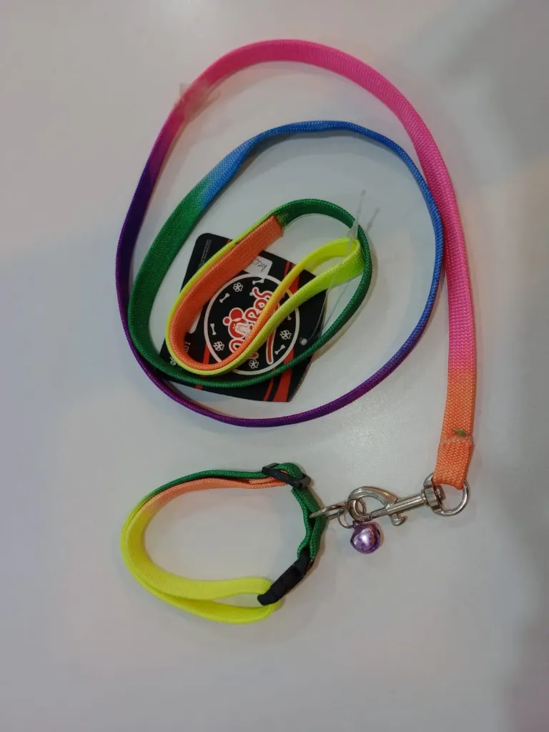 Conjunto Collar Y Correa Fluo