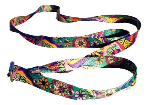 Conjunto Collar/Correa T2