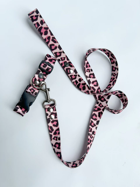 Conjunto N6 Correa Y Collar