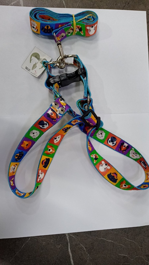 Conjunto Pretal/Correa T3