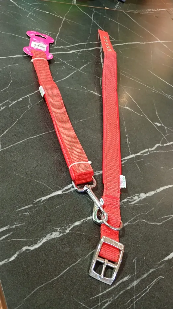 Correa Con Collar Grande