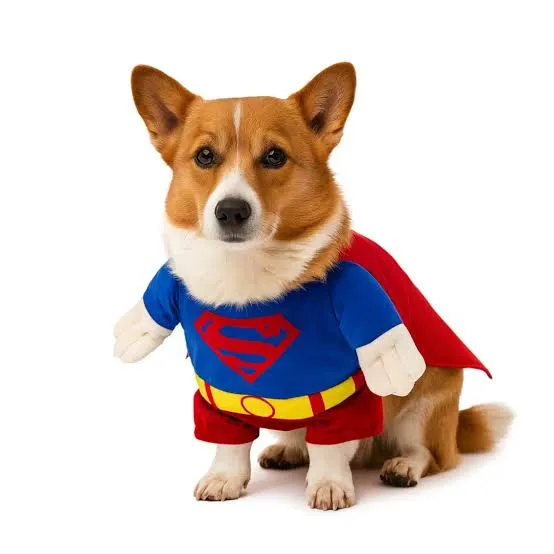 Disfraz De Superman T2