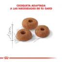 Fit 32 Paq 1 Kgr Bolsita