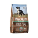 Maxxium Adulto Cordero X 15+2Kg