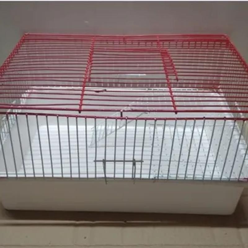 Hamstera C/Bandeja
