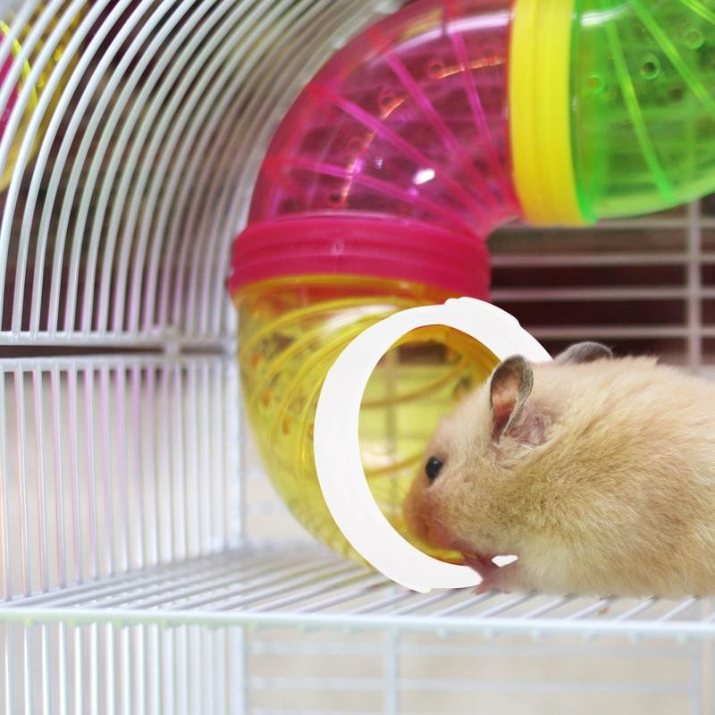 Hamstera Techo Curv (27*22*30)
