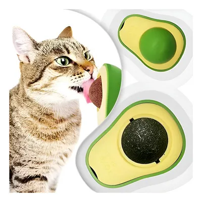 Hierba Gatera Palta Catnip