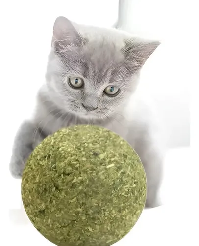 Hierba Gatera Catnip Repuesto