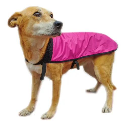 Piloto Impermeable Lumpy T40