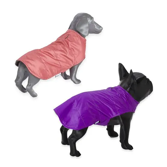 Piloto Impermeable Lumpy T45