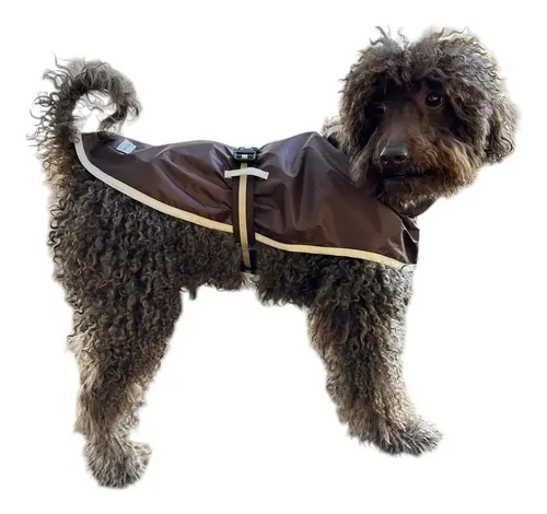 Piloto Impermeable Lumpy T50