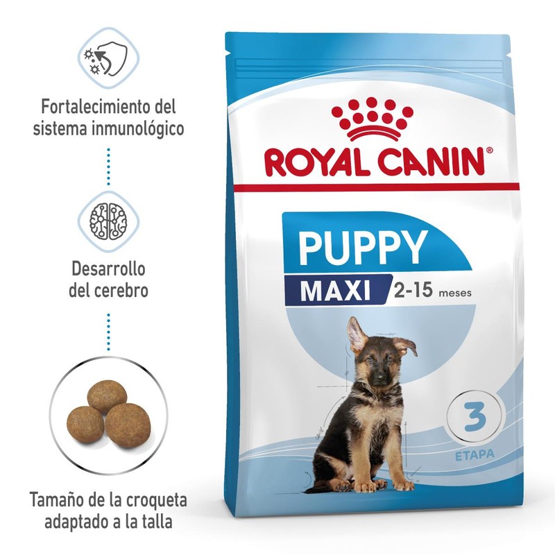 Royal Canin Maxi puppy x 1Kg