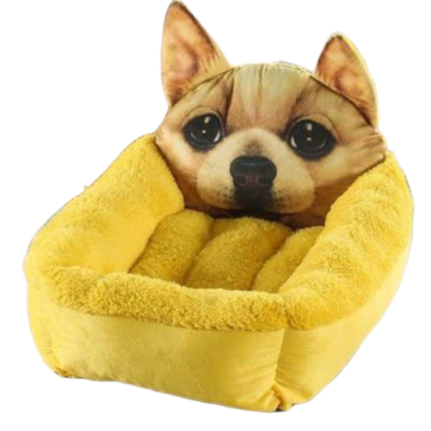 [CUC219] Moises Cara  Perro Amarillo