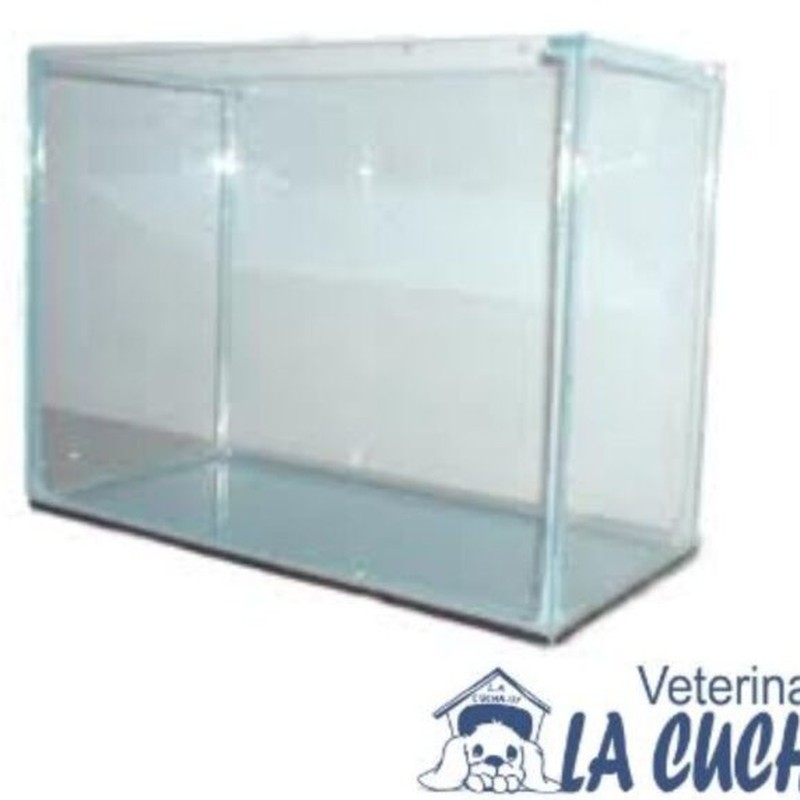 Placa Biológica P/Acuario