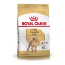Royal Canin Poodle Adulto X 1Kg