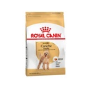 Royal Canin Poodle Adulto X 7,5Kg