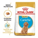 Royal Canin Poodle Puppy X 1Kg