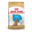Royal Canin Poodle Puppy X 3Kg