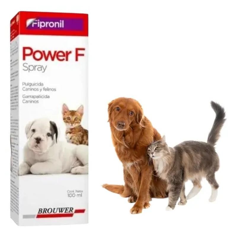 Power F Spray X 100Ml