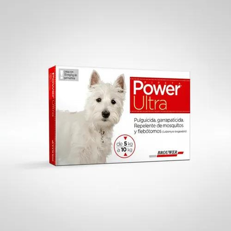 Power Perros Hasta 10 Kg