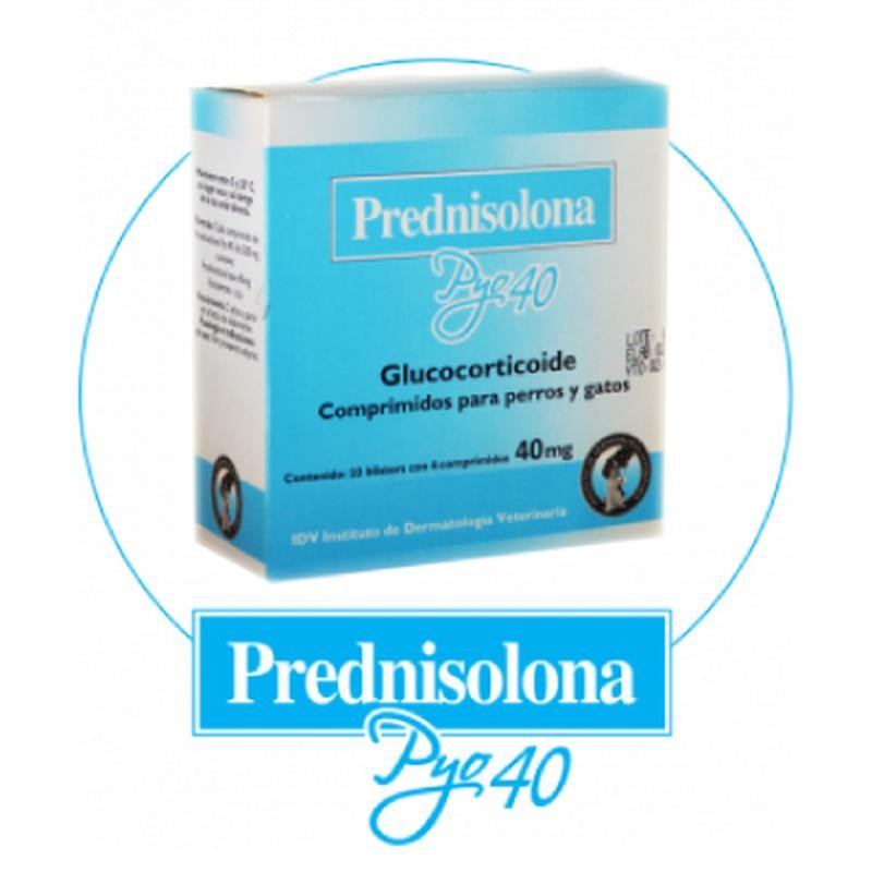Prednisolona Pyo 20 X 10 Comp