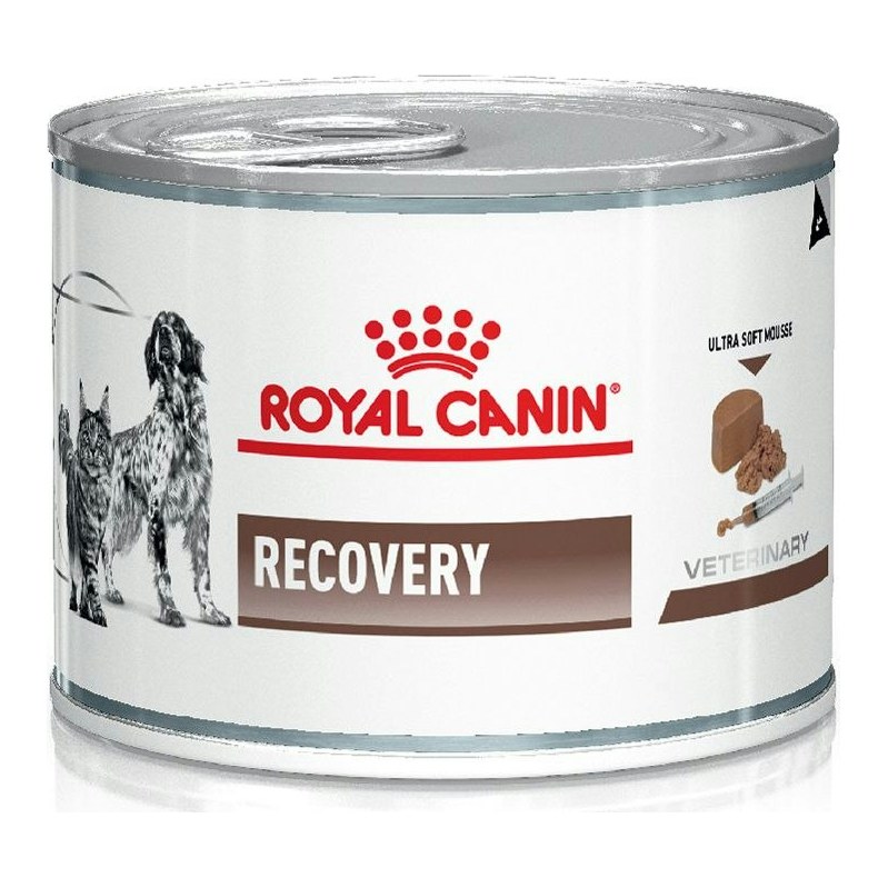 [RCP109] Royal Canin Recovery Dog/Cat X 195Gr