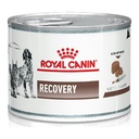 Royal Canin Recovery Dog/Cat X 195Gr