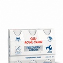 Royal Canin Recovery Dog/Cat X Liquid X 3