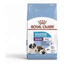 Royal Canin Starter Giant X 10Kg