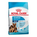 Royal Canin Starter Maxi X 10Kg