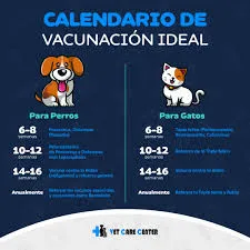 [VAC4] Vacuna Dhppi