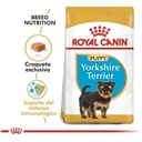 Royal Canin Yorkshire Terrier Puppy X 1Kg