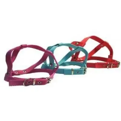 Pretal Nylon N3 (55CM)