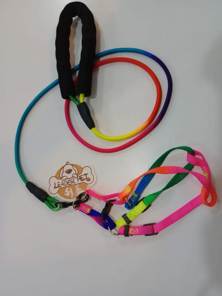 Conjunto Correa/Pretal Alpino Chico Colores