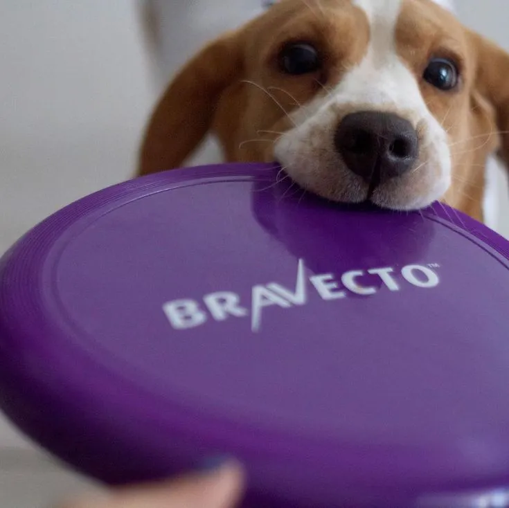 [ACC053] Frisbee Promo Bravecto